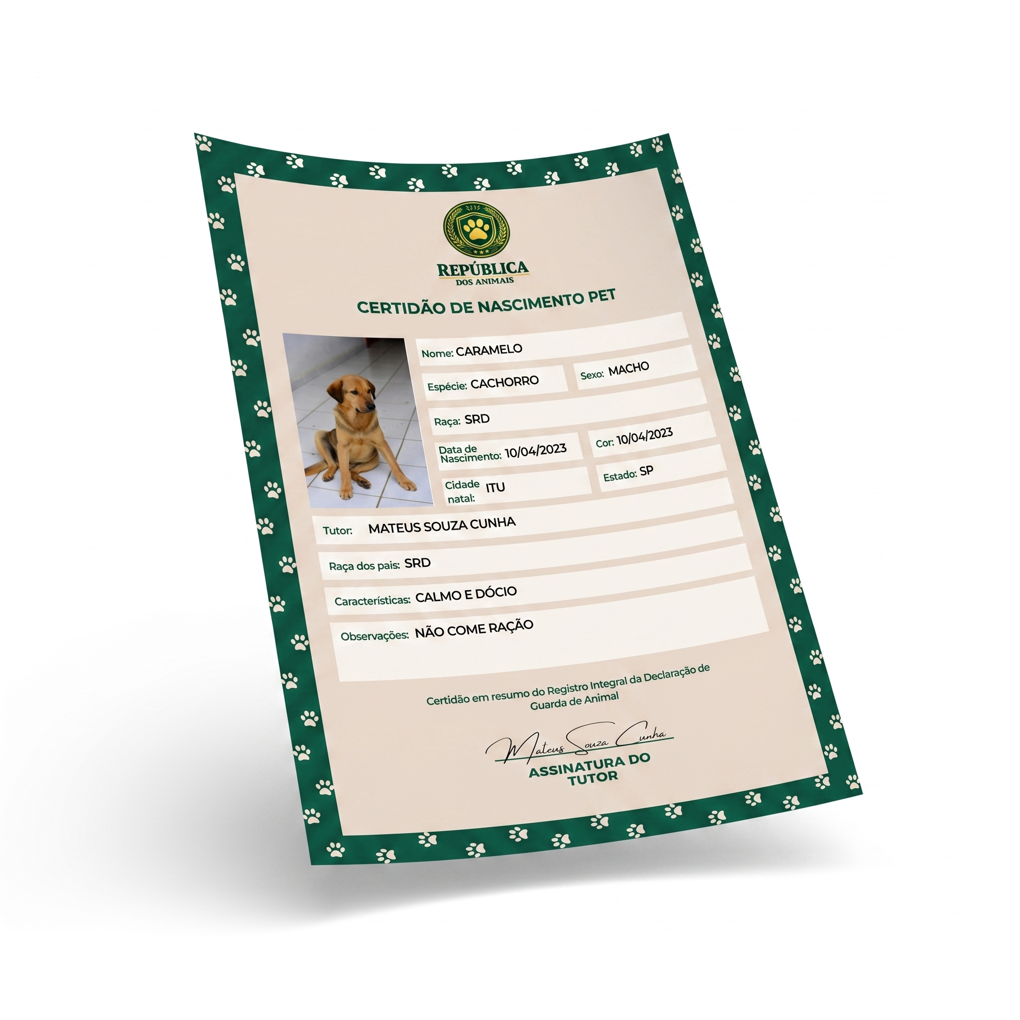 Certidão de Nascimento