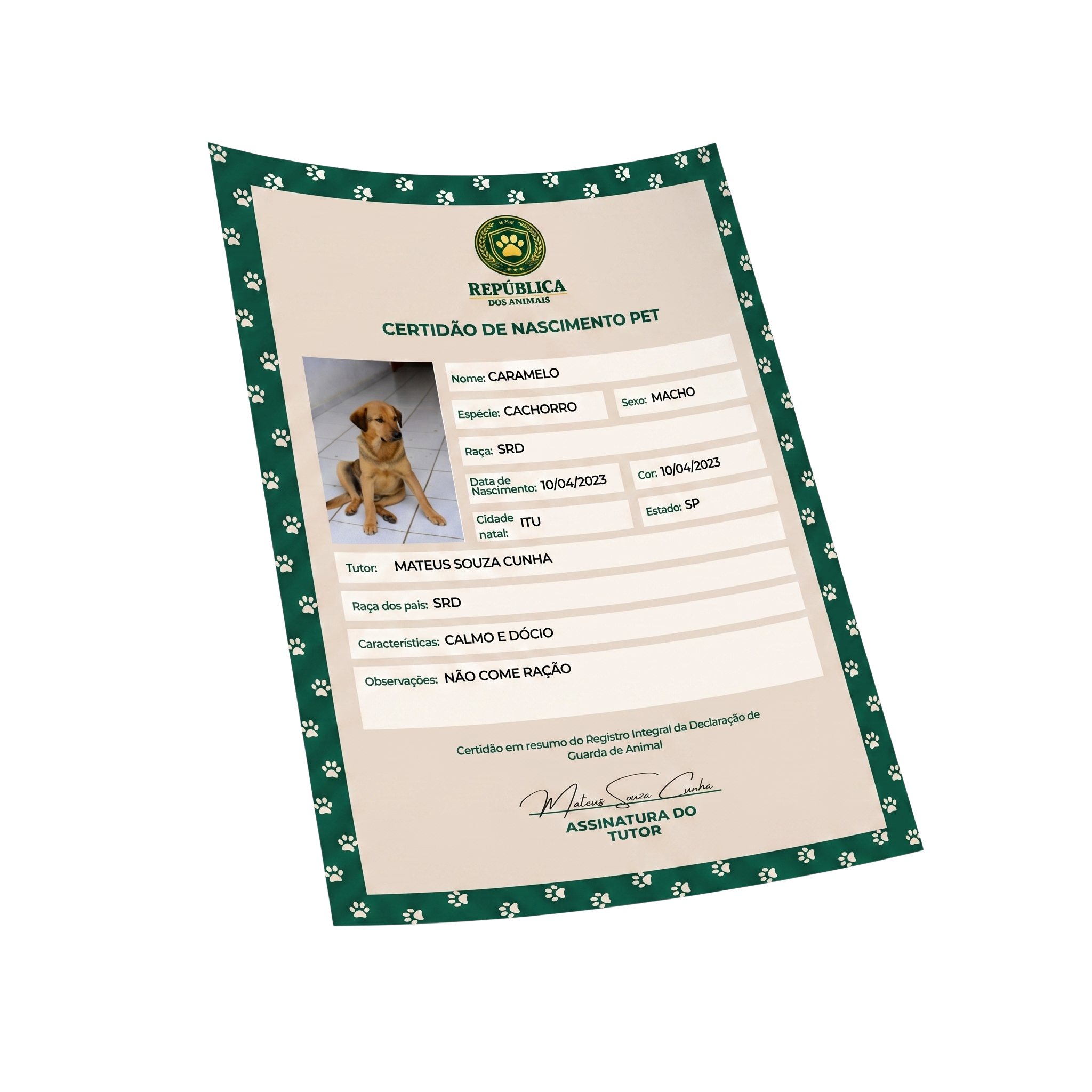 Certidão de Nascimento